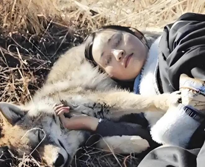 故事：女孩失踪20年，被狼群养大，被救援队找到时，却发现她生过3个孩子，然而孩子的真实身份却让警方沉默！